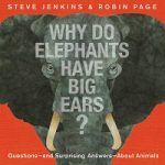 WhyDoElephantsHaveBigEars