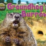 Groundhogsburrow